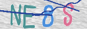 CAPTCHA (Şahıs Denetim Kodu) Resmi
