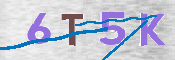 CAPTCHA (Şahıs Denetim Kodu) Resmi