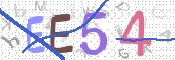 CAPTCHA (Şahıs Denetim Kodu) Resmi