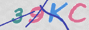 CAPTCHA (Şahıs Denetim Kodu) Resmi