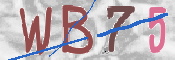 CAPTCHA (Şahıs Denetim Kodu) Resmi