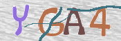 CAPTCHA (Şahıs Denetim Kodu) Resmi