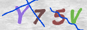 CAPTCHA (Şahıs Denetim Kodu) Resmi