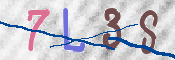 CAPTCHA (Şahıs Denetim Kodu) Resmi