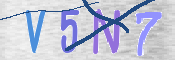 CAPTCHA (Şahıs Denetim Kodu) Resmi