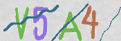 CAPTCHA (Şahıs Denetim Kodu) Resmi