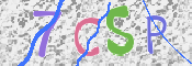 CAPTCHA (Şahıs Denetim Kodu) Resmi
