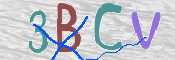 CAPTCHA (Şahıs Denetim Kodu) Resmi