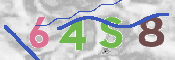 CAPTCHA (Şahıs Denetim Kodu) Resmi