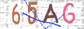 CAPTCHA (Şahıs Denetim Kodu) Resmi