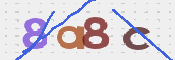 CAPTCHA (Şahıs Denetim Kodu) Resmi
