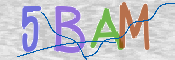 CAPTCHA (Şahıs Denetim Kodu) Resmi