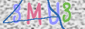 CAPTCHA (Şahıs Denetim Kodu) Resmi