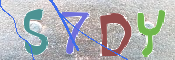 CAPTCHA (Şahıs Denetim Kodu) Resmi
