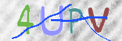 CAPTCHA (Şahıs Denetim Kodu) Resmi