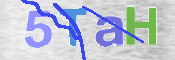 CAPTCHA (Şahıs Denetim Kodu) Resmi