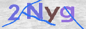 CAPTCHA (Şahıs Denetim Kodu) Resmi