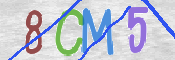 CAPTCHA (Şahıs Denetim Kodu) Resmi