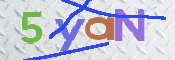 CAPTCHA (Şahıs Denetim Kodu) Resmi