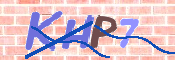 CAPTCHA (Şahıs Denetim Kodu) Resmi