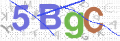 CAPTCHA (Şahıs Denetim Kodu) Resmi