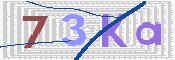 CAPTCHA (Şahıs Denetim Kodu) Resmi