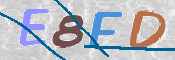 CAPTCHA (Şahıs Denetim Kodu) Resmi