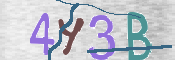 CAPTCHA (Şahıs Denetim Kodu) Resmi