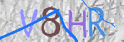 CAPTCHA (Şahıs Denetim Kodu) Resmi