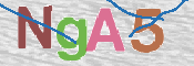 CAPTCHA (Şahıs Denetim Kodu) Resmi