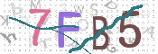 CAPTCHA (Şahıs Denetim Kodu) Resmi