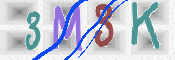 CAPTCHA (Şahıs Denetim Kodu) Resmi