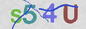 CAPTCHA (Şahıs Denetim Kodu) Resmi