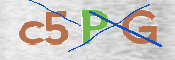 CAPTCHA (Şahıs Denetim Kodu) Resmi