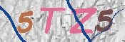 CAPTCHA (Şahıs Denetim Kodu) Resmi