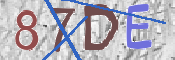 CAPTCHA (Şahıs Denetim Kodu) Resmi