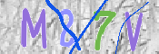CAPTCHA (Şahıs Denetim Kodu) Resmi