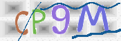 CAPTCHA (Şahıs Denetim Kodu) Resmi