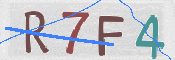 CAPTCHA (Şahıs Denetim Kodu) Resmi
