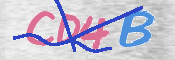 CAPTCHA (Şahıs Denetim Kodu) Resmi