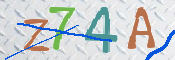 CAPTCHA (Şahıs Denetim Kodu) Resmi