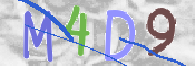 CAPTCHA (Şahıs Denetim Kodu) Resmi