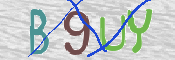 CAPTCHA (Şahıs Denetim Kodu) Resmi