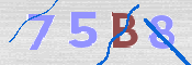 CAPTCHA (Şahıs Denetim Kodu) Resmi