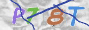 CAPTCHA (Şahıs Denetim Kodu) Resmi