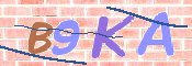 CAPTCHA (Şahıs Denetim Kodu) Resmi