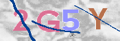 CAPTCHA (Şahıs Denetim Kodu) Resmi