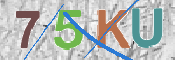CAPTCHA (Şahıs Denetim Kodu) Resmi