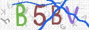 CAPTCHA (Şahıs Denetim Kodu) Resmi