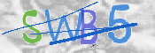 CAPTCHA (Şahıs Denetim Kodu) Resmi